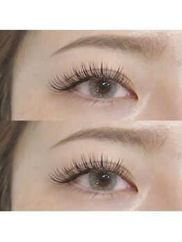 ネリネ(Nerine)/フラットラッシュ200本