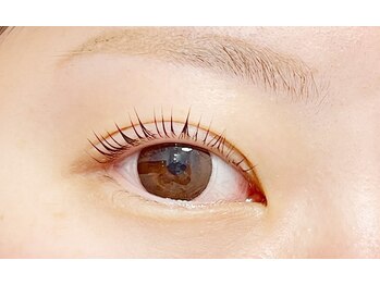 アイビーアイラッシュ(IVY EYELASH)/ラッシュリフト