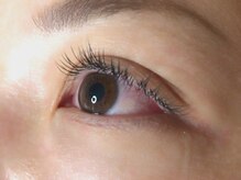 ウルカ アイラッシュ(uruka EYELASH)/フラットラッシュ　140本