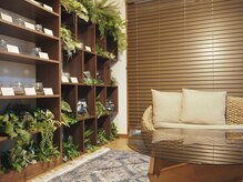 ガーベラ(Gerbera)/オシャレな店内で、自分を満たす