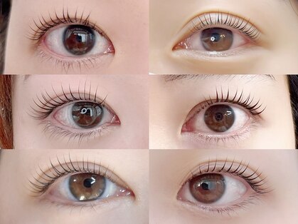 ネロ(nelo)の写真