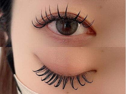 ソンテ(sonte.)の写真