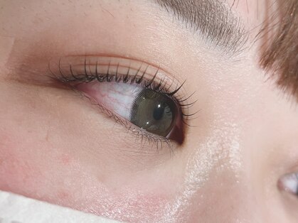 バニラ(VANILLE)の写真