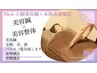 【全身ケア】美容鍼＋パルス(電気)＋美容整体＋骨盤矯正¥22000