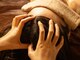Relaxation Salon Inizio Estate【7月1日NEW OPEN（予定）】の写真