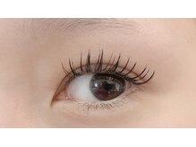 ライラ(Lila)/《アップワードラッシュ》160本