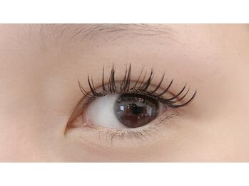 ライラ(Lila)/《アップワードラッシュ》160本