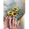 ガーデンビューティー 新宿(Garden Beauty)のお店ロゴ