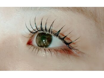 テラスアヴェダ 心斎橋店(Terrace AVEDA)/ラッシュリフト上下！