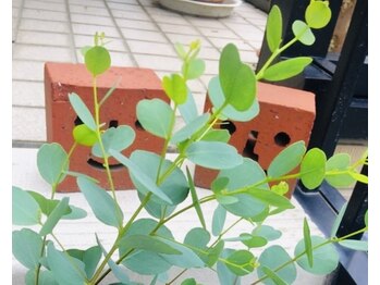 おうちサロン ニワノミ(NIWANOMI)/＊整体・ヘッドスパ