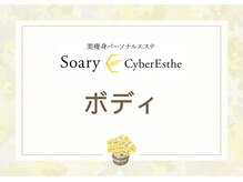 ソアリー バイ サイバーエステ(Soary×CyberEsthe)/【痩身エステ】ボディメニュー♪