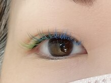 リプリ(RePuli)/ダブルフラット140束