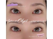 サロンドオブジェ(Salon de Objet)/上下ラッシュリフト