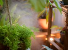 整体療院 おひさま。の雰囲気（リラックス、安心感をもたらす香りに包まれながらの施術です。）
