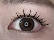 メメ(MEME)/フラットラッシュ120本