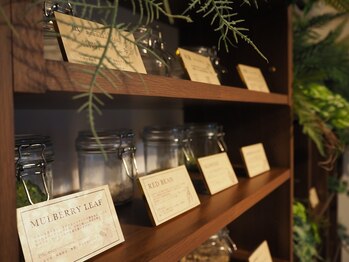 ガーベラ(Gerbera)/選べるハーブ&よもぎ蒸し