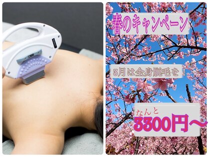 ルーナ(Luna)の写真