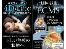 マナリノ(Mana Lino)の雰囲気（どなたも一度は受けてみる価値あり！リンパが流れて全身スッキリ）
