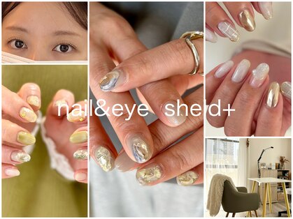 シェルドプラス(Sheld+)の写真