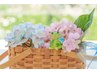 ☆8月クーポン☆オーダーメイド整体 150分