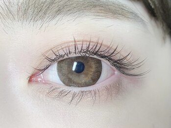 くるり 上野店/ブラウンフラット140本