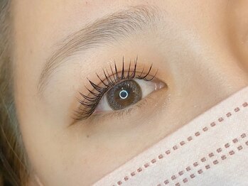 エーアイ 浅草橋(Ai)/フラットラッシュ