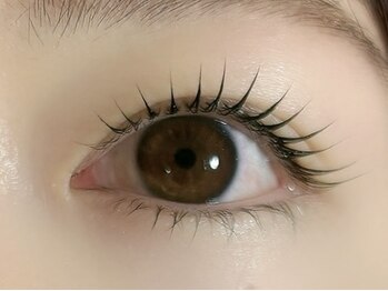 リファーレ 代々木(RIFARE)/立ち上げカール【代々木マツパ】