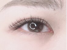 ファンドットジェルム(Fan.germe)/フラットラッシュ１６０本