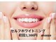 レイジースワンの写真