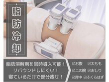 セターナルエス(Seternal.S)