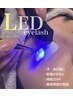 ■NEW■ LEDフラットマットつけ放題