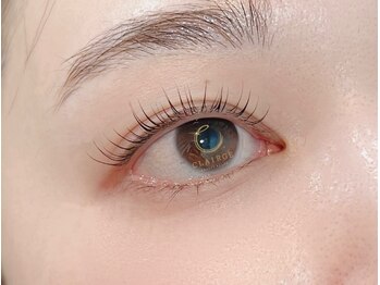 クレージュ(CLAIRGE)/ラッシュリフト