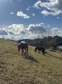 ディー ネイル アイラッシュ ヤバ(DEE nail×eyelash yaba)&nbsp;この動物園無料なのに沢山動物いて楽しかったです♪