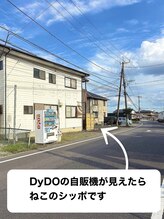 リラ ねこのシッポ/ねこのシッポ