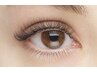 【大人気】3Ｄ/ボリュームラッシュ120束　6480円→5980円
