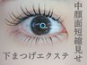 デカ目効果＆中顔面短縮見せ！下まつげエクステ　50本　￥3850