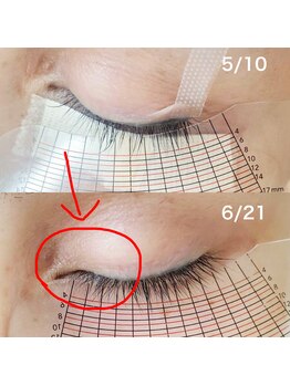 スプーンプラス アイラッシュ(spoon+eyelash)/ラッシュアディクトサロンケア