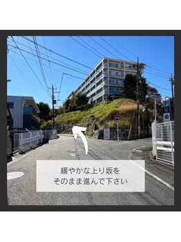 リリー ユリガオカ(Lily Yurigaoka)/道案内