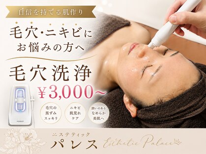 エステティック パレスの写真