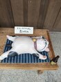ネイルアンドアイラッシュ シシュ なんば本店(nail&eyelash SyiSyu)&nbsp;癒されます！