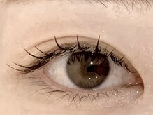 メメ(MEME)/LEDフラットラッシュ100本