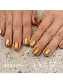 オーク 海老名(OAK)/マグネットネイル