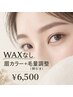 【WAXなし】眉カラー+毛量調整(間引き)¥6.500