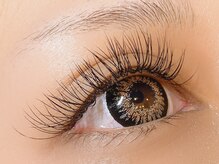 ザラボアングゥ(The Labo ungu)/アップワードラッシュ180本