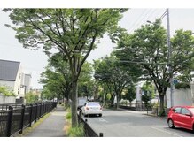 シロの休日/アクセス