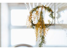 シエスタ/玄関風景