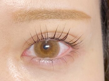 ディート(dito)/上下まつ毛パーマ