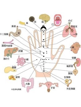 高麗鍼灸院/手指鍼ー手にある体の反応点