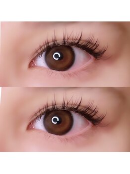 ルナ アイラッシュ(Luna Eyelash)/miya☆フラットラッシュ100本