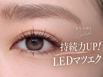 燈(AKARI)の写真